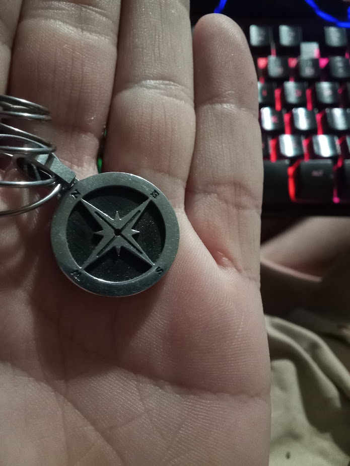  A compass medallion, inscribed with cardinal directions and carried in the palm of a human hand.