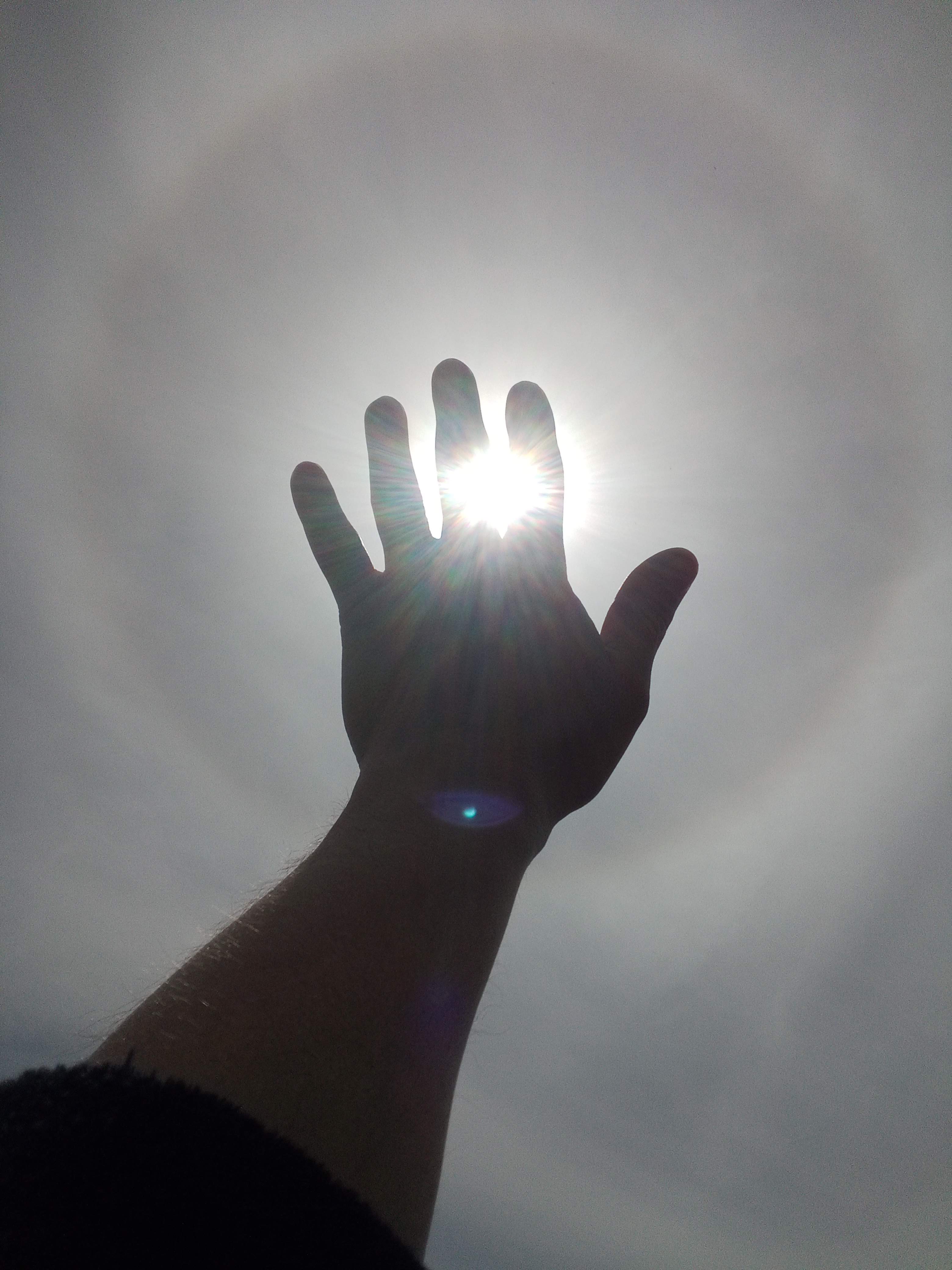 Reach for the Light of Truth